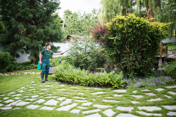 Prescott Valley, AZ Pest Control Company