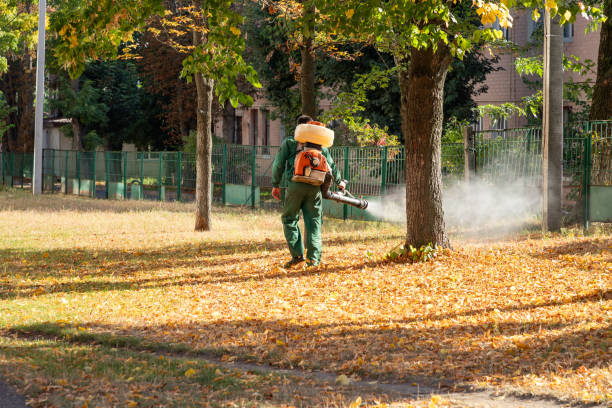 Wildlife Control Services in Prescott Valley, AZ